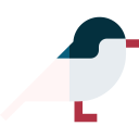 golondrina arctica icon