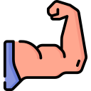 bíceps 