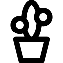 cactus icon