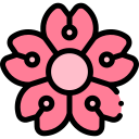 sakura icon