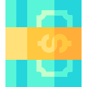 Money icon