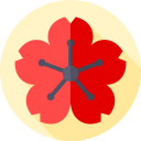 flor de cerezo 