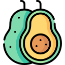 aguacate icon