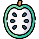 guanabana icon