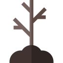 Árbol icon