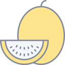 melón icon