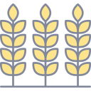 planta de trigo icon