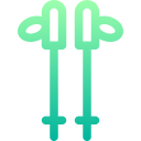 Поляки icon