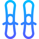 Лыжи icon