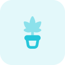 planta icon