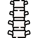 columna vertebral 