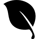 Leaf black natural shape 