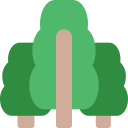 bosque icon