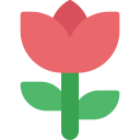 tulipán icon