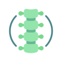 columna vertebral 