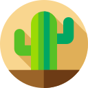 cactus icon