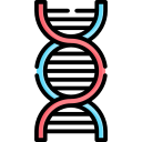 Dna 