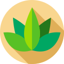 agave icon