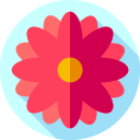 flor icon