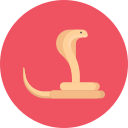 serpiente icon