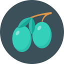 aceitunas icon