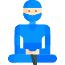 ninja icon