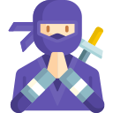 ninja icon