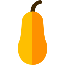 calabaza icon