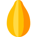 papaya icon