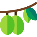 aceitunas icon