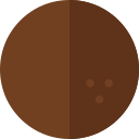 coco icon