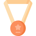 medalla de bronce icon