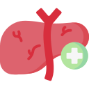 hepatologia icon