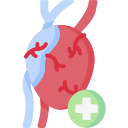 cardiología icon