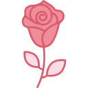 rosa 