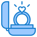 anillo icon