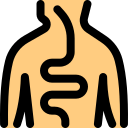 cuerpo humano icon