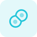 mitosis icon