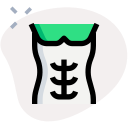 abdominales icon