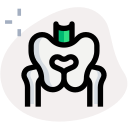 pelvis icon