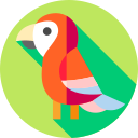 guacamayo 