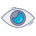 ojo icon