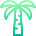 palmera 