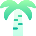 palmera 