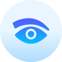 ojo icon