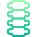 columna vertebral