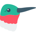 colibrí