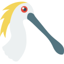 pájaro icon