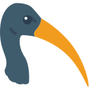 ibis 