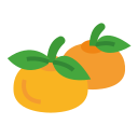 naranja icon